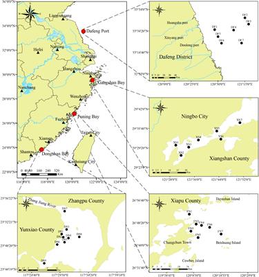 Metabarcoding of harmful algal bloom species in sediments from four coastal areas of the southeast China